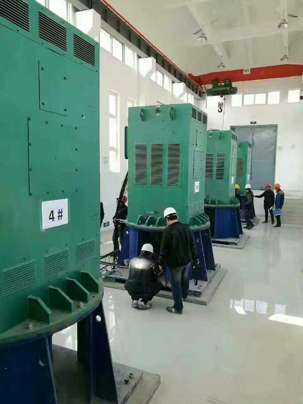 泗县某污水处理厂使用我厂的立式高压电机安装现场